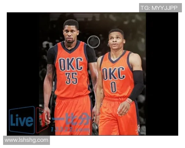 勇士与马刺2015至2016赛季精彩对决赛程回顾与分析 勇士与马刺2015至2016赛季精彩对决赛程回顾与分析