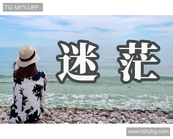 张帆的奋斗历程与人生哲学探讨如何在逆境中找到前行的力量与方向