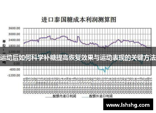 运动后如何科学补糖提高恢复效果与运动表现的关键方法