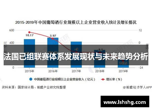 法国已组联赛体系发展现状与未来趋势分析