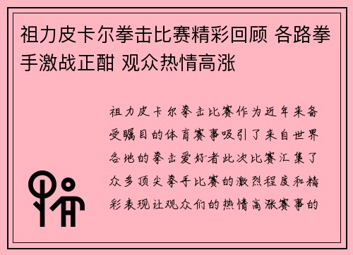 祖力皮卡尔拳击比赛精彩回顾 各路拳手激战正酣 观众热情高涨