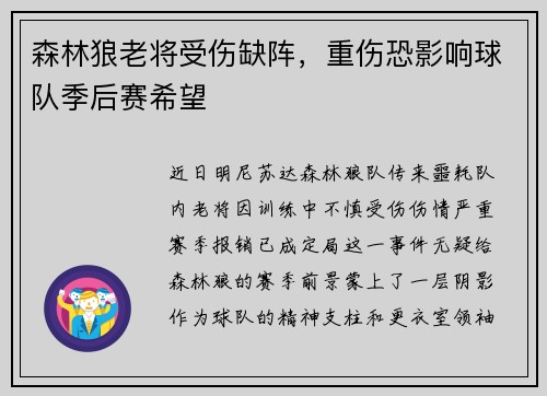 森林狼老将受伤缺阵，重伤恐影响球队季后赛希望