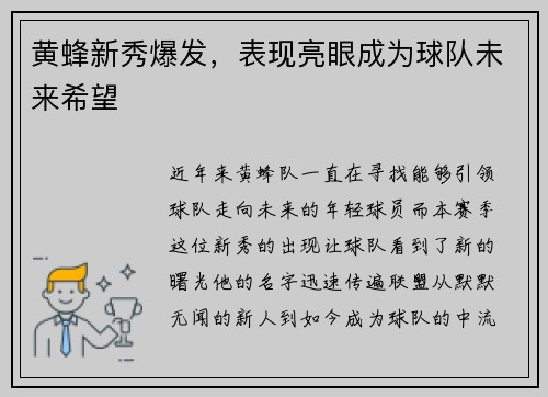 黄蜂新秀爆发，表现亮眼成为球队未来希望